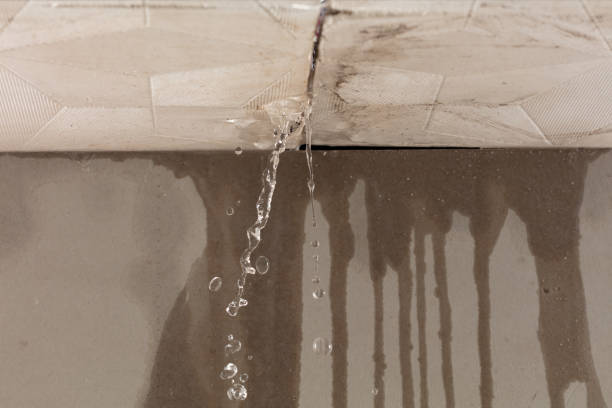 Professional Burst Pipe Cleanup technician working in Milliken, CO